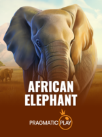 Game African Elephant Terpercaya dengan Fitur Terbaik banner
