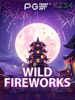 Wild Fireworks game cover